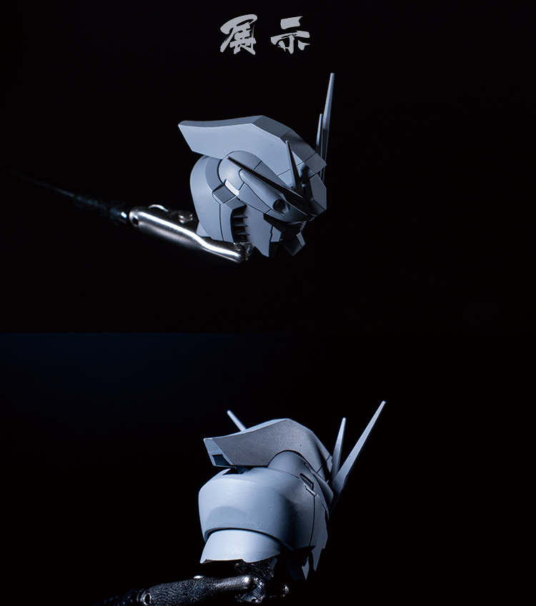 G362_ARIES_MG_NU_head_022.jpg