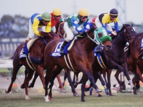 【競馬訃報】2000年高松宮記念馬キングヘイロー逝く - 2ch的神競馬まとめ.com