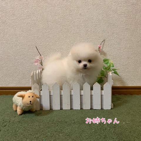 20190321 3