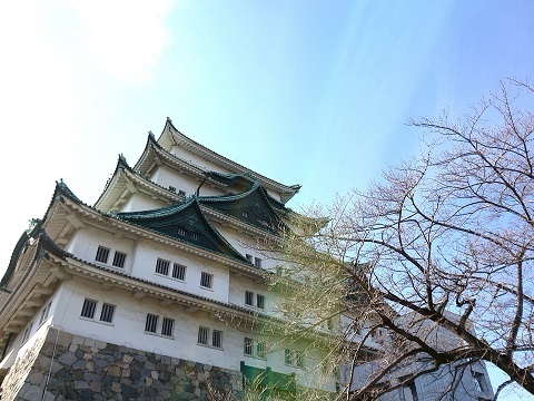 初めての名古屋城