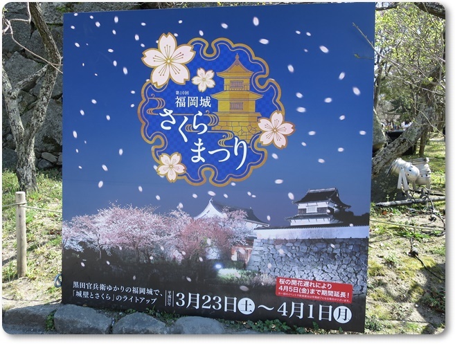 福岡城・桜満開 (72)