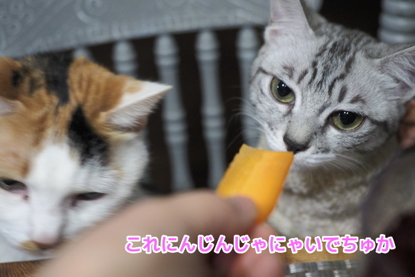 ３１にんじん　