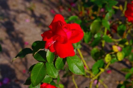 clip_image040