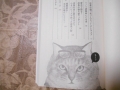 DSCN6628.jpg