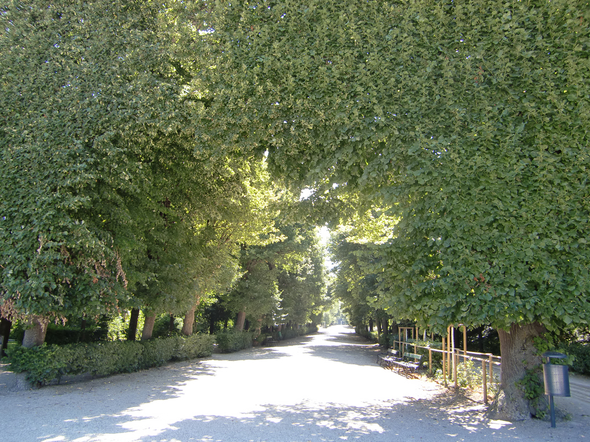 2010101906.jpg