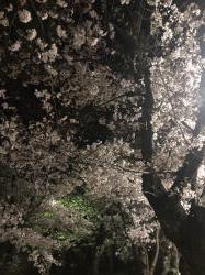 IMG_6582_convert_20190407223331.jpeg