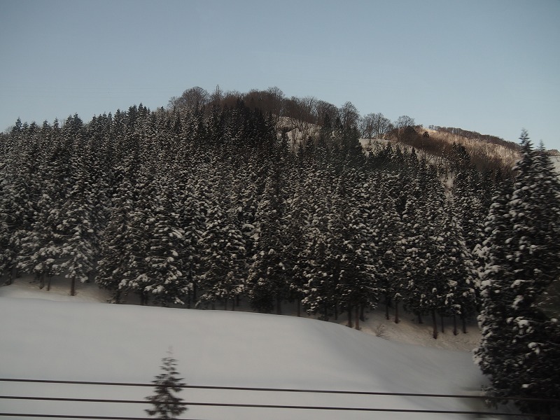 P3090017.jpg